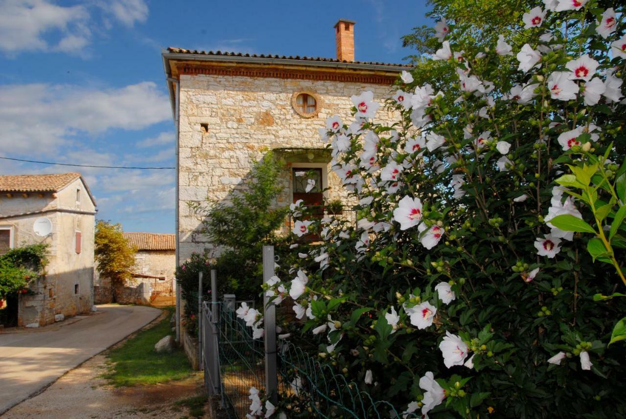 Nature House Jasenka Nova Vas  Екстер'єр фото